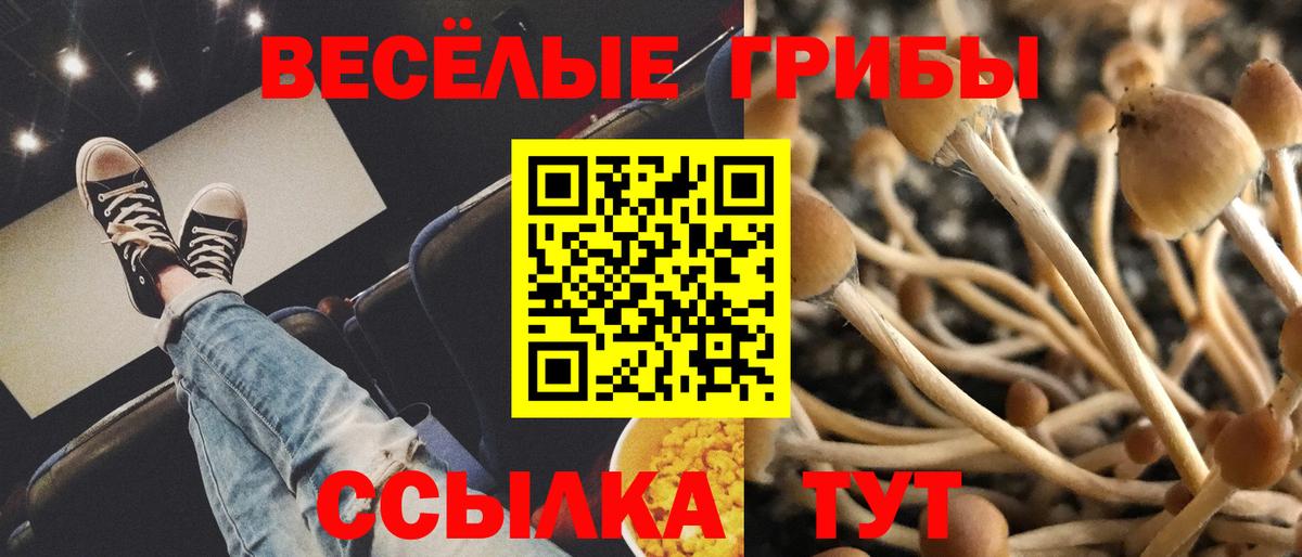 МЕФ   Канабис  Кокаин  Гашиш  Каспийск  Вход с VPN 