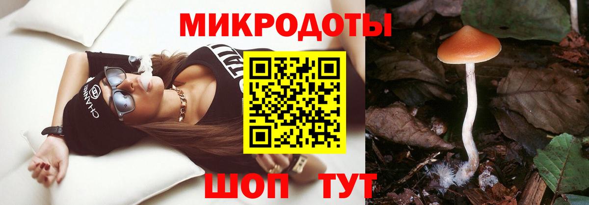 Каспийск  Псилоцибиновые грибы мицелий  Вход с VPN 